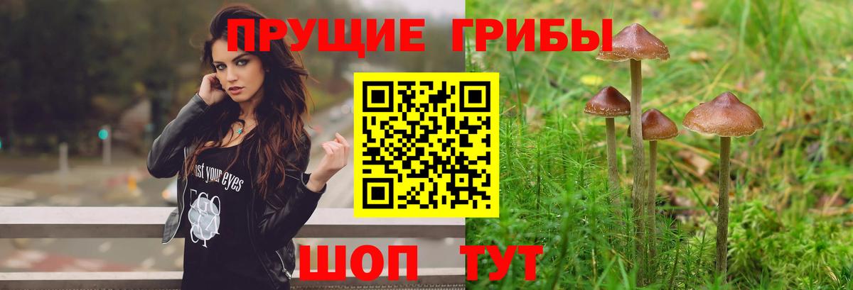 Галлюциногенные грибы мухоморы  Вход с VPN  Избербаш 